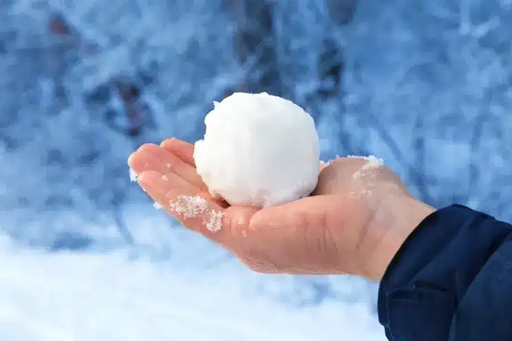 Snowball Dream Meaning in English