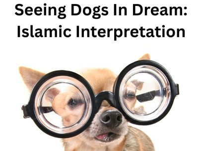 Seeing Dogs In Dream Islam